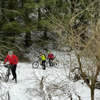 96d6317a-d910-4a4f-944e-1382b7e291b6