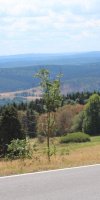 berg18_045